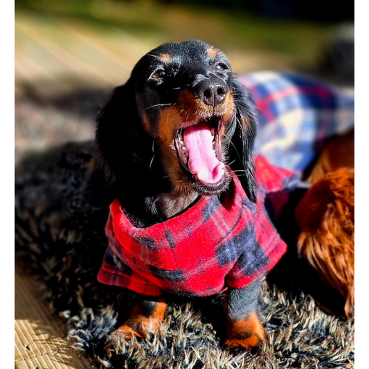 Fleece Rompa