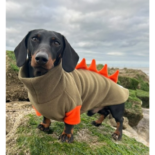 Dino Rompa