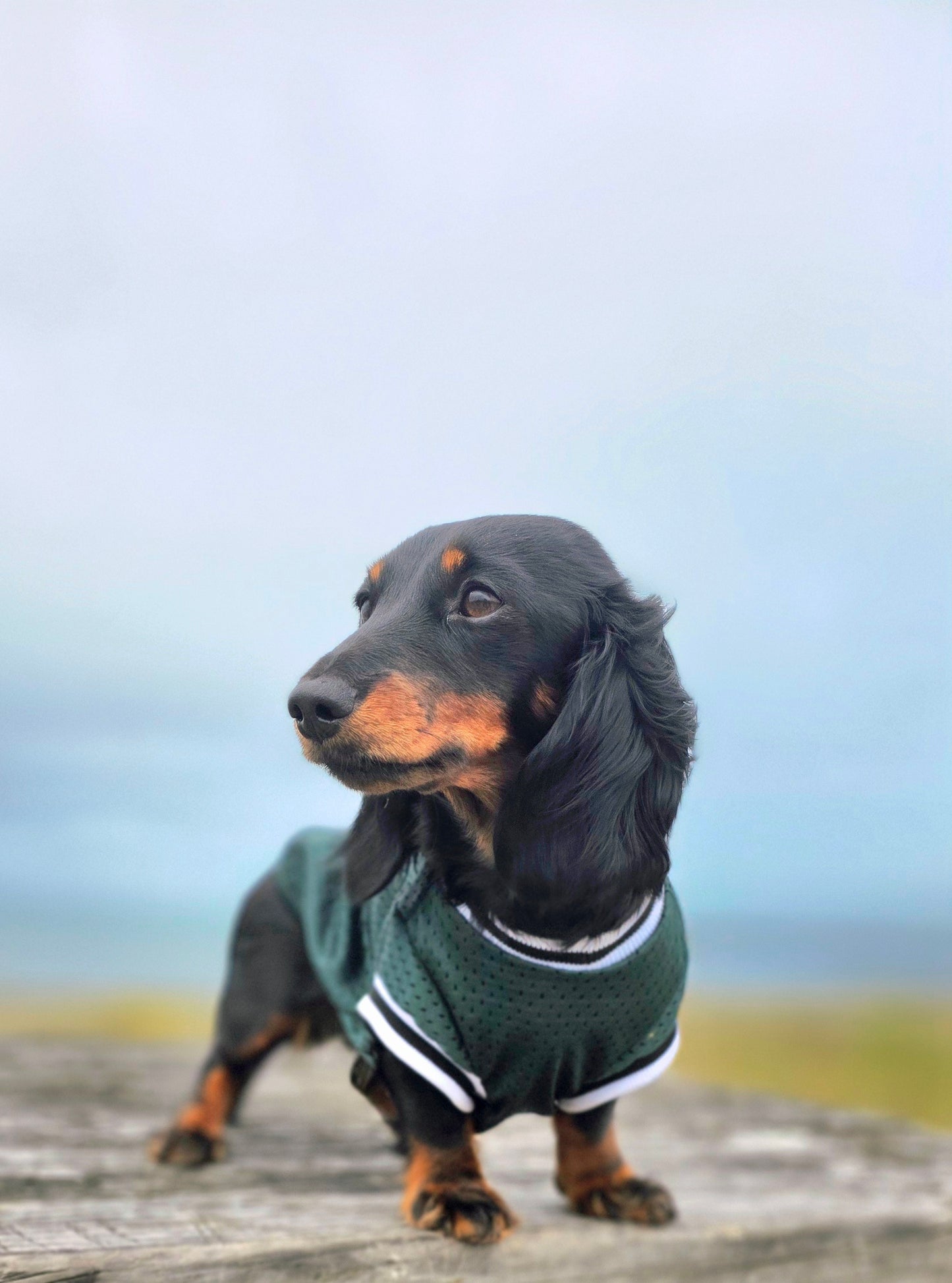 The Balla Tee | Emerald Green