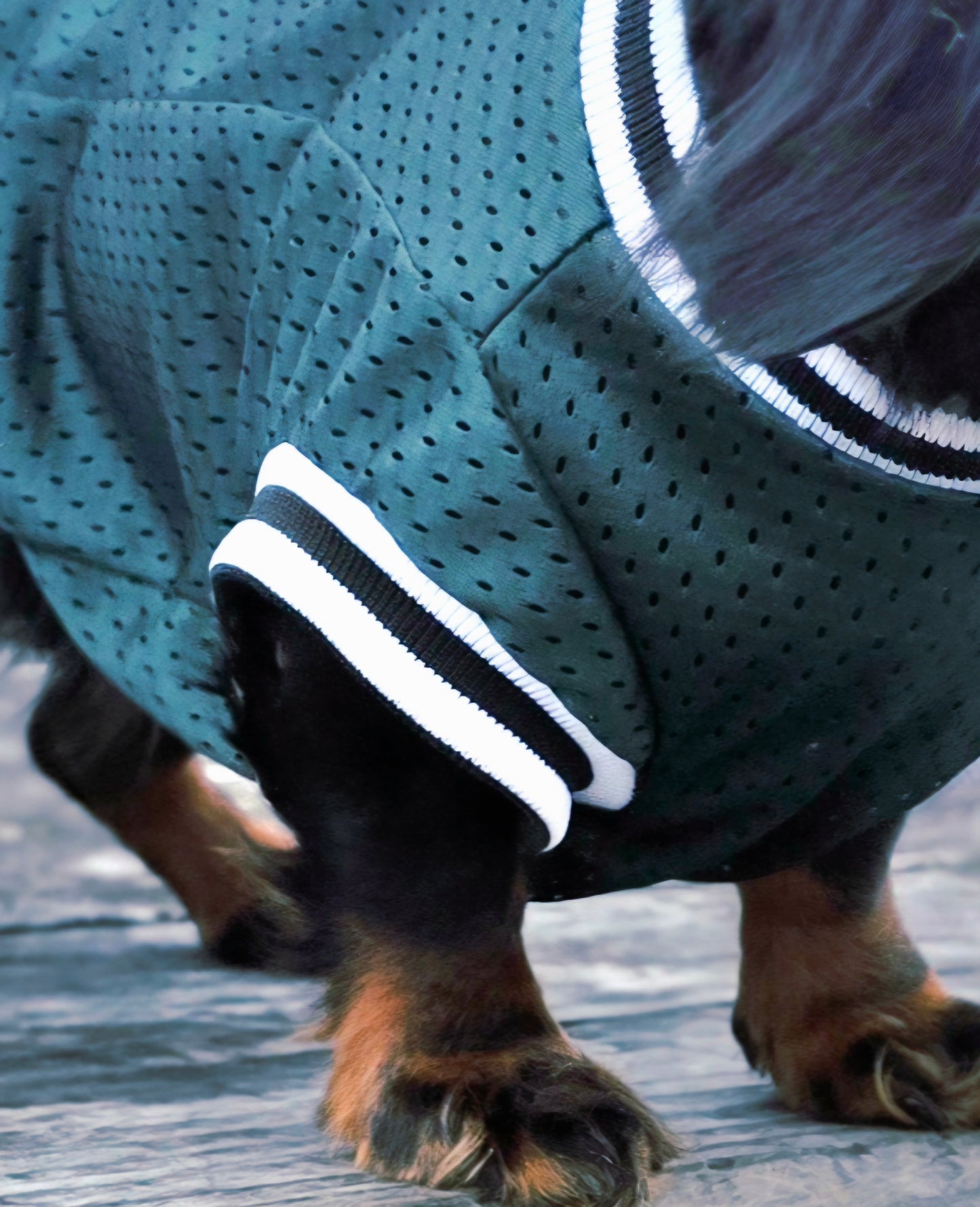 The Balla Tee | Emerald Green